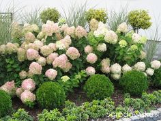 some pink and white flowers are in the bushes