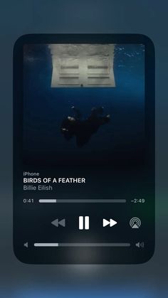 an iphone screen showing the music player for birds of a feather