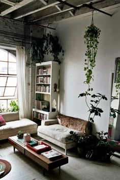 a living room filled with furniture and lots of plants on the windows sills