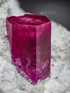 Red Beryl in Rhyolite - Utah USA Horned Lizard, Rock Collecting, Rock Steady, Fine Minerals, Utah Usa, Rock Collection