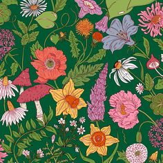 a green background with many different flowers and leaves on the bottom right hand corner is an illustration of various types of flowers