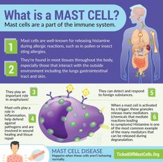 What is Mast Cell Activation Syndrome? – TICKED OFF MAST CELLS Mast Cell Activation, Adrenal Fatigue Symptoms, Dysautonomia Pots, Autoimmune Disorders, Histamine Intolerance, Immune Cells, Chest Discomfort, Low Histamine Diet