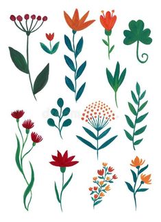 various flowers and leaves on a white background royalty illustration