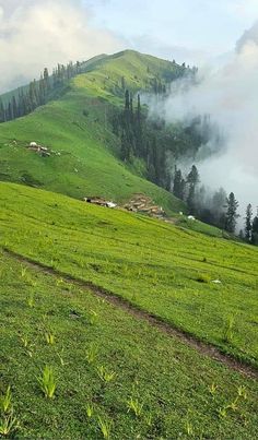 a lush green hillside covered in clouds and trees