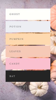 A mood board design featuring a girly Halloween color palette with deep black, soft baby pink, pastel red, light orange, delicate lilac, and off-white swatches. The colors are arranged in an aesthetically pleasing layout, combining the eerie essence of Halloween with a feminine, whimsical touch, perfect for inspiring sweet yet spooky art and design projects. Pastel Fall Colors, Color Palettes With Pink, Halloween Colour Palette, Colouring Palette, Color Palette With Black, Whimsical Color Palette, Fall Color Palettes, Halloween Color Palette, Colour Palette Inspiration