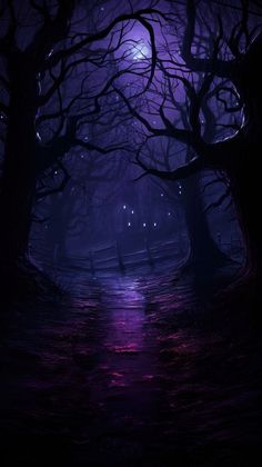 an image of a dark forest at night