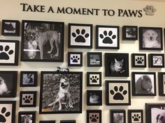 there are many pictures on the wall with dogs and cat's paws in them