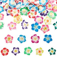 multicolored flowers on white background with clippings to cut out the petals