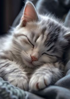 a gray and white cat sleeping on top of a blue blanket with its eyes closed