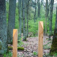 three wooden posts in the middle of a forest