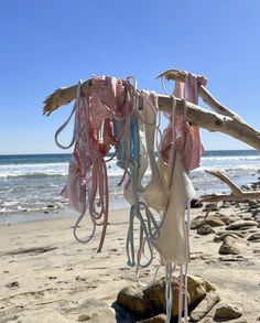 several pieces of cloth hanging from a tree on the beach