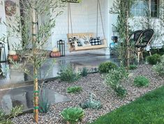 the front yard is clean and ready to be used as an outdoor area for relaxing