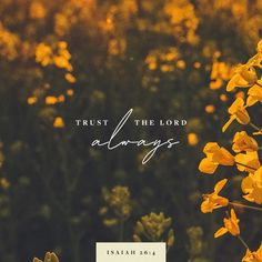 yellow flowers with the words trust the lord always