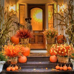 pumpkins and gourds are sitting on the steps in front of a house