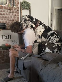 a man sitting on top of a couch next to a dalmatian in his living room