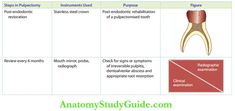 Pulpectomy In Primary Teeth Notes - Anatomy Study Guide