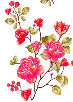 a painting of red flowers on a white background