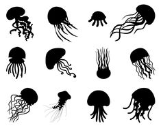 the silhouettes of jellyfish on a white background