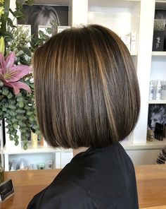 Short Dark Hair With Highlights Straight, Brown Bob Highlights Short, Highlights For Black Hair Asian Short, Asian Bob Highlights, A Line Bob Highlights Dark Brown, Balayage Brunette Short, Blonde Asian Hair, 2024 Haircuts, Professional Hair Color