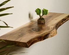 a wooden shelf with a potted plant sitting on it's end and another piece of wood sticking out of the top