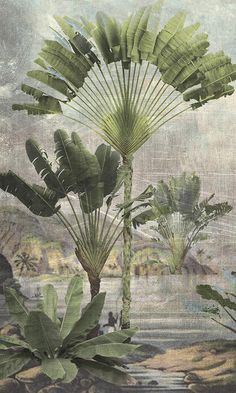 vintage tropical landscape wallpaper Tropical Art Painting, Palm Painting, Texture Decor, Art Deco Landscape, Watercolor Rug, Textured Decor, Transitional Wallpaper, Florida Landscape, Tropical Glam