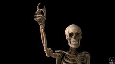 a skeleton is holding his arm up and pointing to the side with its right hand