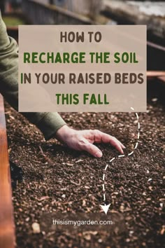 A person's hand is touching the top of the soil that is in a raised bed. From thisismygarden.com. Garden Remedies, Vegetable Garden Raised Beds, Vegetable Garden Diy, Diy Raised Garden, Backyard Vegetable Gardens, Raised Garden Beds Diy, Garden Compost, Garden Veggies, Magic Garden