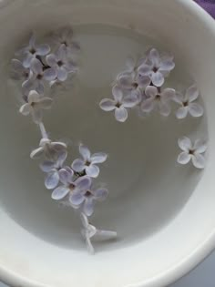 small white flowers are floating in a bowl