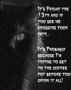 a black cat with the caption saying it's friday the 13th and if you see me crossing your path, it's probably because i'm trying to get to