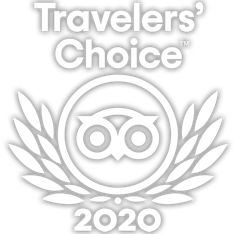 the traveler's choice award logo