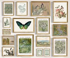 there are many framed pictures on the wall with flowers and butterflies in them, including a butterfly