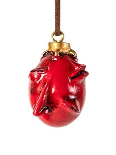 a red ornament hanging from a cord