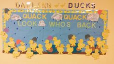 a bulletin board with yellow rubber ducks on it