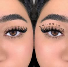 Eyelash Extension Lengths, Lashes With Numbers, Lashes Extensions Numbers, Eye Mapping Eyelash Extensions, Lash Extensions Numbers, Hybrid Doll Eye Lash Extensions, Eyelash Extensions Mapping Styles, Mapping Eyelash Extensions, Lashes Mapping