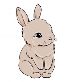 a white rabbit sitting on the ground with its eyes wide open and ears slightly closed