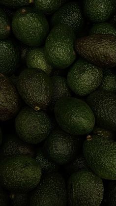 a pile of green avocados sitting next to each other