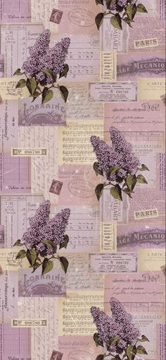 purple lilacs are in a glass vase on top of some old letters and papers