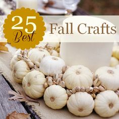 a bunch of white garlic sitting on top of a table