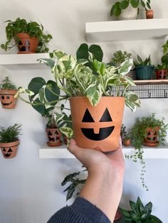 a person holding up a potted plant with a jack - o'- lantern face on it