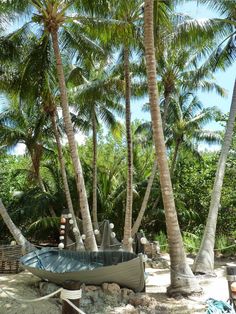 a boat sitting on top of a sandy beach next to palm trees and other tropical vegetation