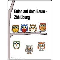 an instruction book with owls sitting on a tree branch