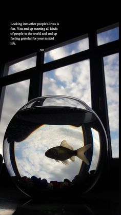 a goldfish in an aquarium looking out the window with clouds and blue sky behind it