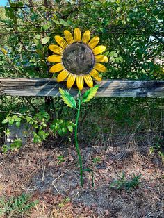 a sunflower sitting on top of a wooden bench in the middle of a field