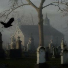 an old cemetery in the fog with a bird flying over it's headstone