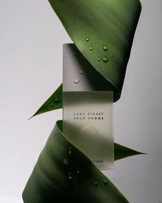 a plant with water drops on it and a business card attached to the back of it