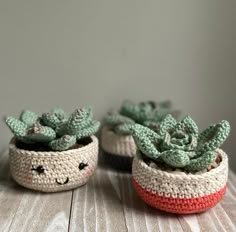 two small crocheted pots with succulents in them on a table