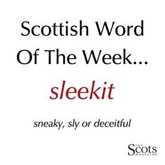 the scottish word of the week seekit