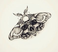 a black and white drawing of a moth with skulls on it's back wings