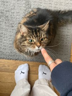 a cat sitting on the floor next to someone's feet with their fingers touching it