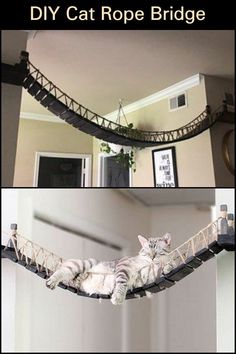 there is a cat that is laying down on a rope bridge and another photo with the caption, diy cat rope bridge